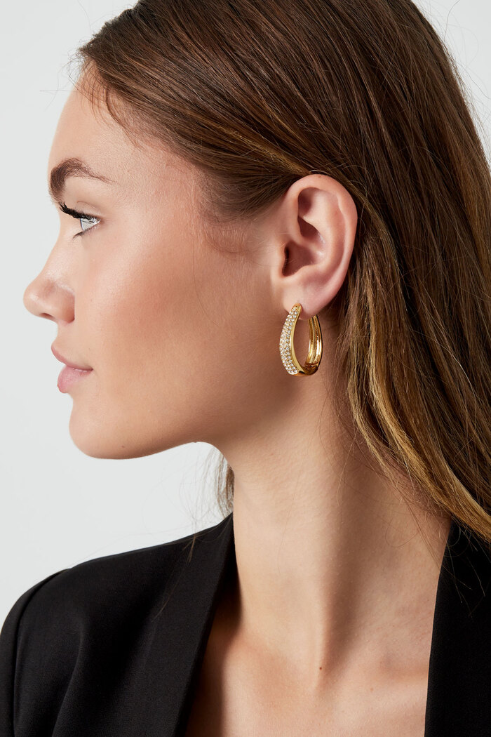 Boucles d'oreilles ovales glam - Acier inoxydable Argenté Image3